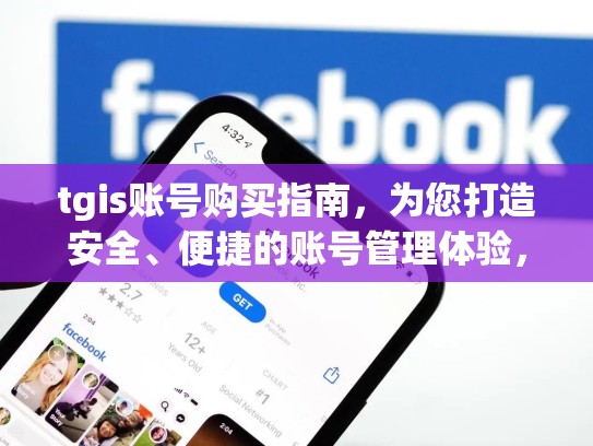 tgis账号购买指南,为您打造安全、便捷的账号管理体验,tcgamevip账号