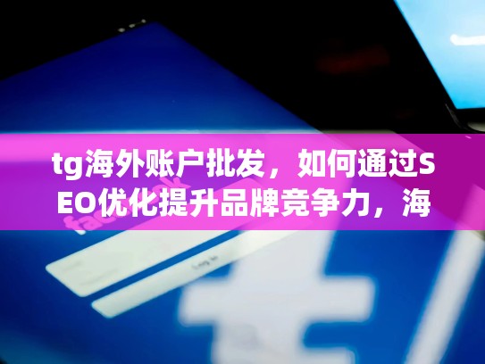 tg海外账户批发,如何通过SEO优化提升品牌竞争力,海外账号什么意思
