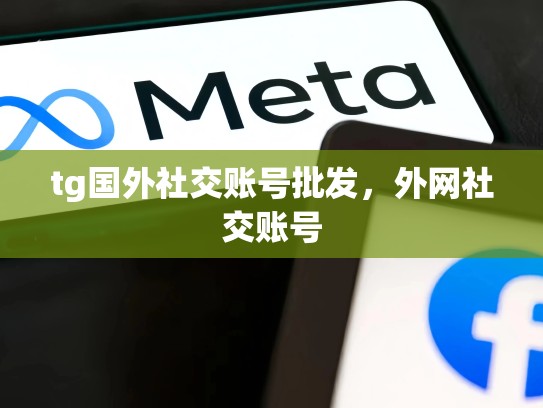 tg国外社交账号批发,外网社交账号