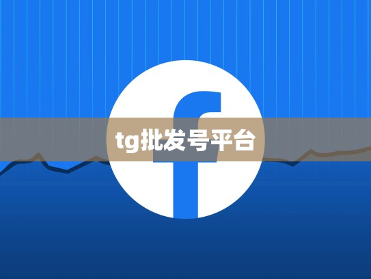 tg批发号平台