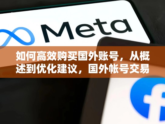 如何高效购买国外账号，从概述到优化建议，国外帐号交易平台