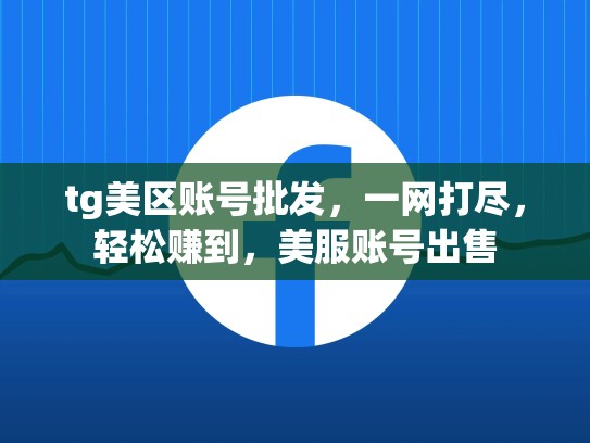 tg美区账号批发，一网打尽，轻松赚到，美服账号出售
