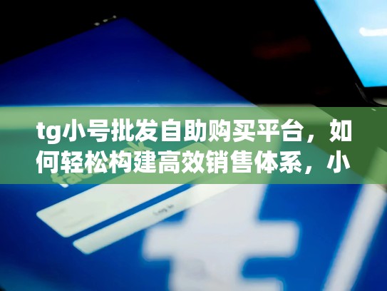 tg小号批发自助购买平台，如何轻松构建高效销售体系，小号商城官网
