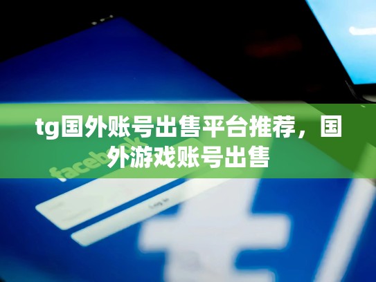 tg国外账号出售平台推荐，国外游戏账号出售