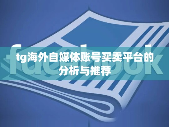 tg海外自媒体账号买卖平台的分析与推荐