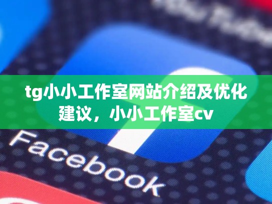 tg小小工作室网站介绍及优化建议，小小工作室cv