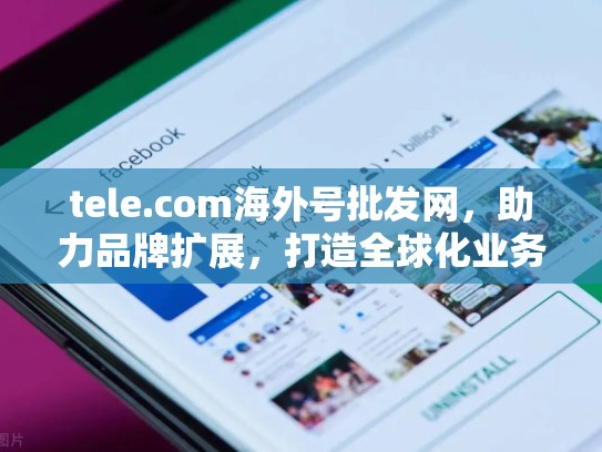 tele.com海外号批发网,助力品牌扩展,打造全球化业务新引擎,海外tb