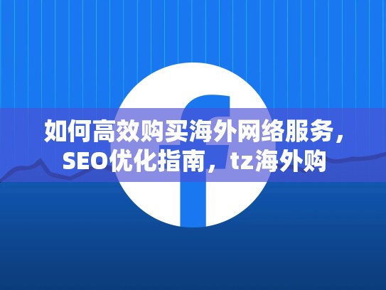 如何高效购买海外网络服务，SEO优化指南，tz海外购