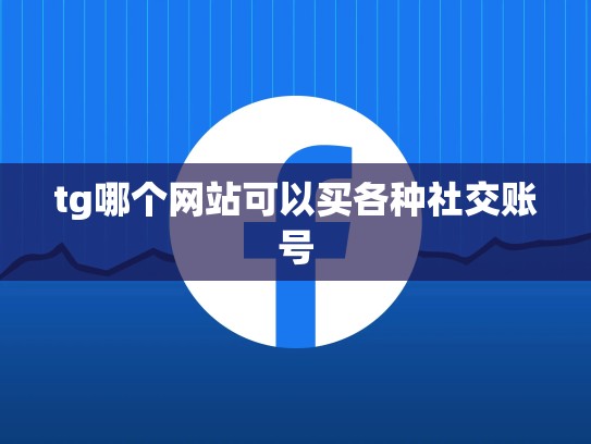 tg哪个网站可以买各种社交账号