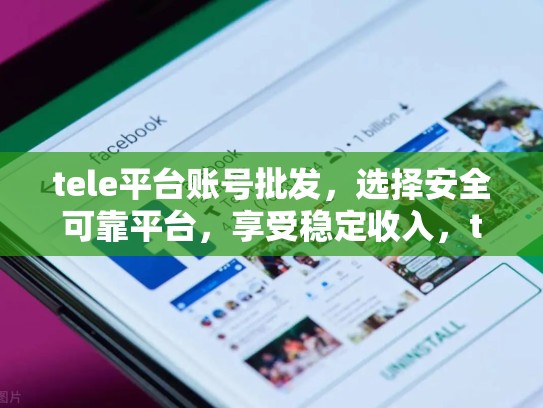 tele平台账号批发,选择安全可靠平台,享受稳定收入,tele 注册