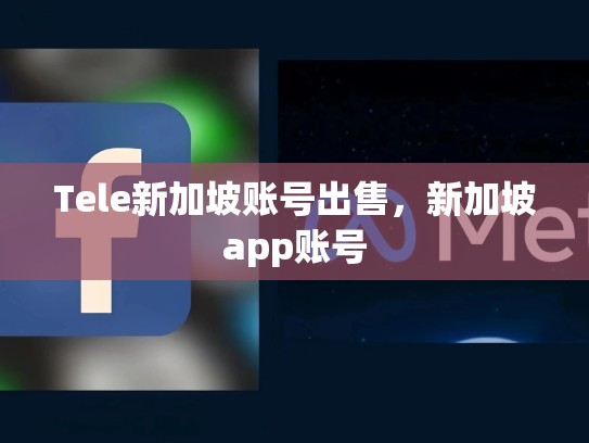 Tele新加坡账号出售，新加坡app账号