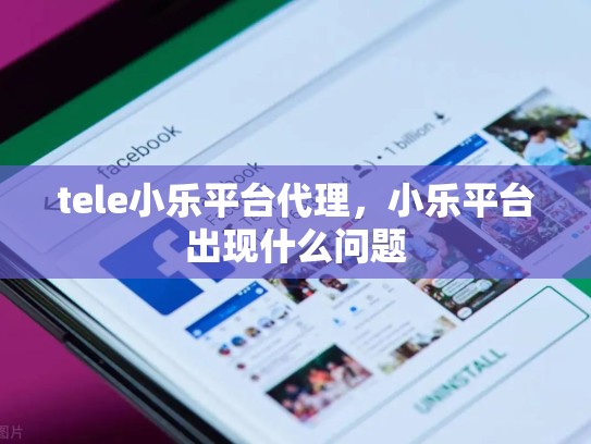 tele小乐平台代理，小乐平台出现什么问题