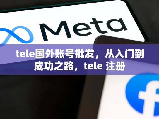 tele国外账号批发，从入门到成功之路，tele 注册