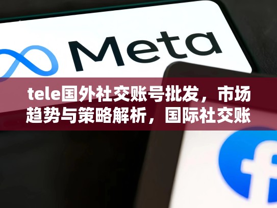 tele国外社交账号批发,市场趋势与策略解析,国际社交账号