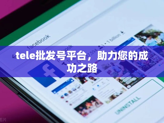 tele批发号平台,助力您的成功之路