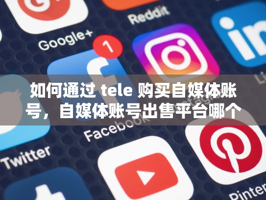 如何通过 tele 购买自媒体账号,自媒体账号出售平台哪个好