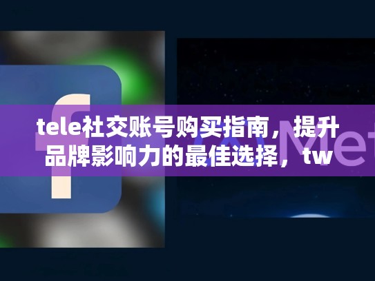 tele社交账号购买指南,提升品牌影响力的最佳选择,twtter账号购买