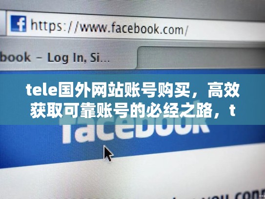 tele国外网站账号购买,高效获取可靠账号的必经之路,teletrade交易网站