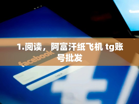 1.阅读，阿富汗纸飞机 tg账号批发