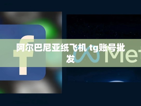 阿尔巴尼亚纸飞机 tg账号批发