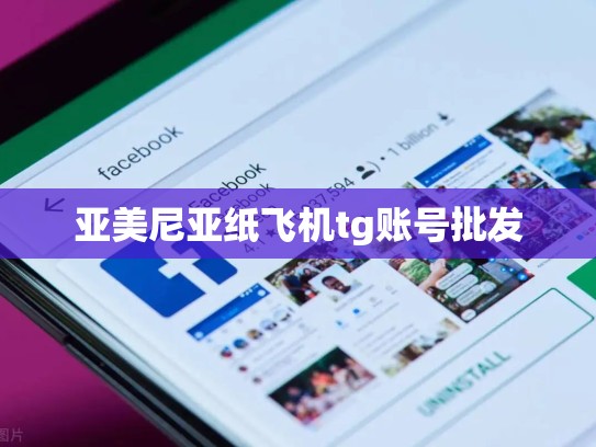 亚美尼亚纸飞机tg账号批发