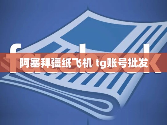 阿塞拜疆纸飞机 tg账号批发