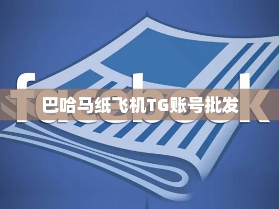 巴哈马纸飞机TG账号批发