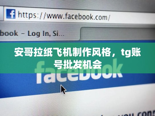 安哥拉纸飞机制作风格，tg账号批发机会