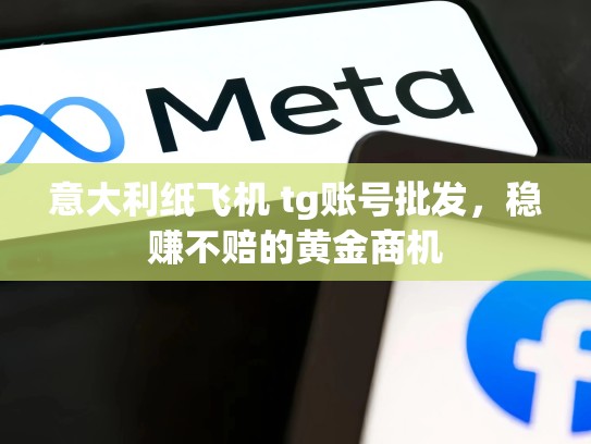 意大利纸飞机 tg账号批发，稳赚不赔的黄金商机