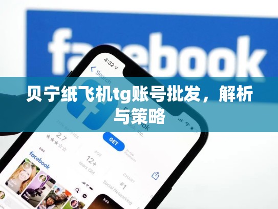 贝宁纸飞机tg账号批发,解析与策略