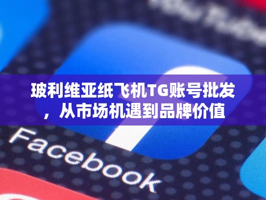 玻利维亚纸飞机TG账号批发,从市场机遇到品牌价值