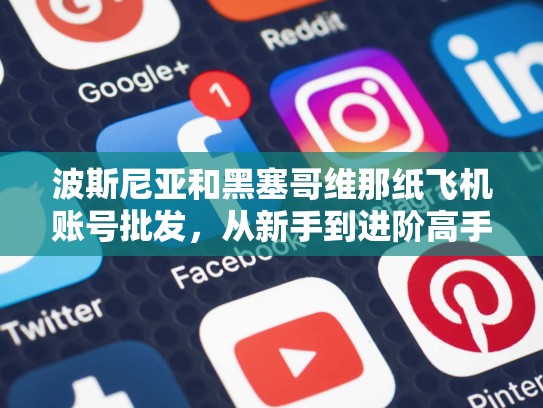波斯尼亚和黑塞哥维那纸飞机账号批发,从新手到进阶高手的全解析