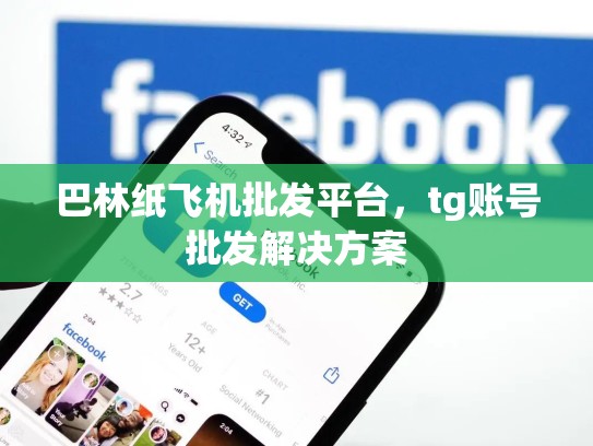 巴林纸飞机批发平台，tg账号批发解决方案