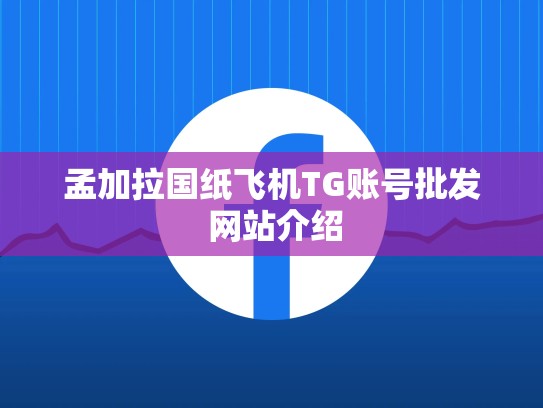 孟加拉国纸飞机TG账号批发 网站介绍