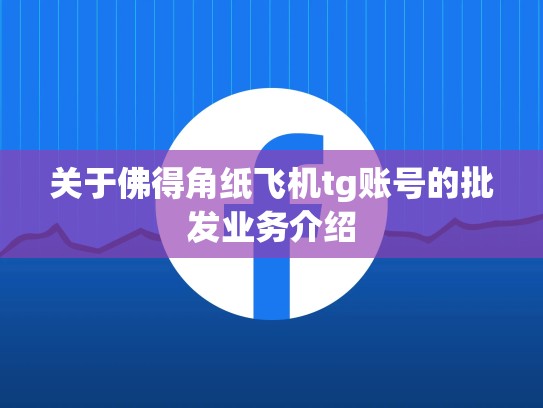 关于佛得角纸飞机tg账号的批发业务介绍