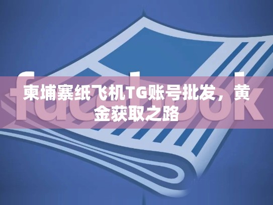 柬埔寨纸飞机TG账号批发，黄金获取之路
