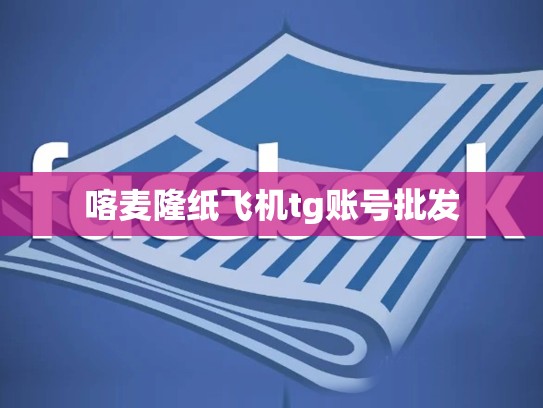 喀麦隆纸飞机tg账号批发