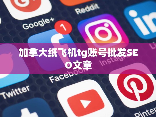 加拿大纸飞机tg账号批发SEO文章