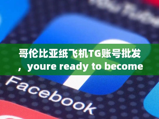 哥伦比亚纸飞机TG账号批发,youre ready to become the king of纸飞机!