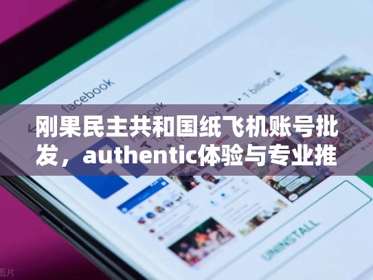 刚果民主共和国纸飞机账号批发,authentic体验与专业推荐