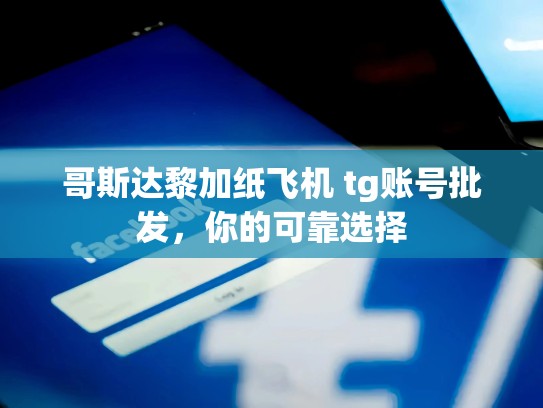 哥斯达黎加纸飞机 tg账号批发，你的可靠选择