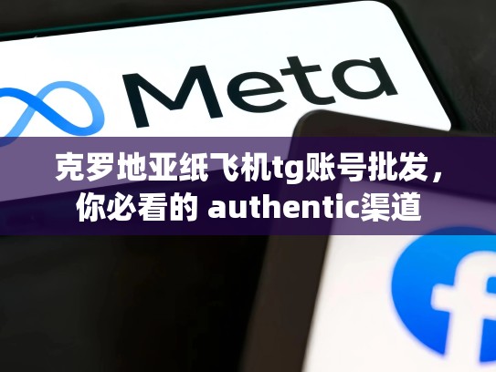 克罗地亚纸飞机tg账号批发,你必看的 authentic渠道