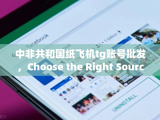 中非共和国纸飞机tg账号批发,Choose the Right Source
