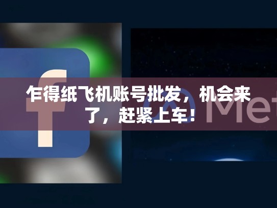 乍得纸飞机账号批发,机会来了,赶紧上车!