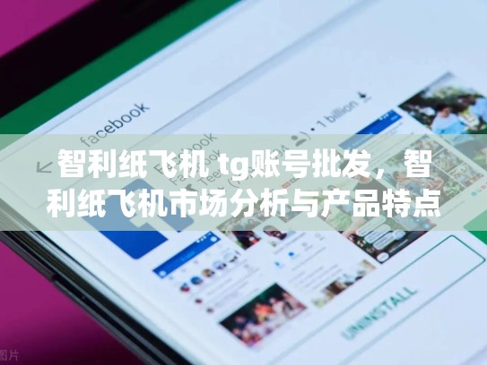 智利纸飞机 tg账号批发,智利纸飞机市场分析与产品特点