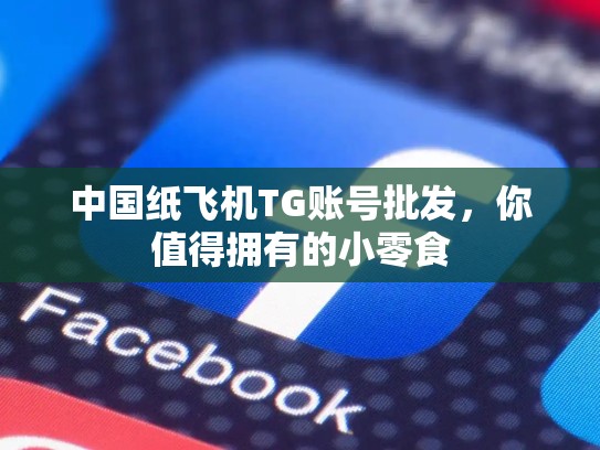 中国纸飞机TG账号批发,你值得拥有的小零食