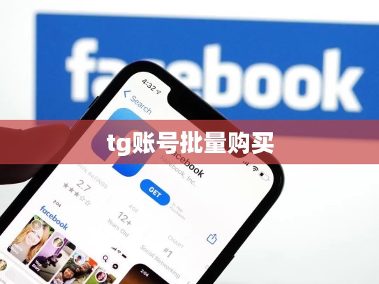 tg账号批量购买