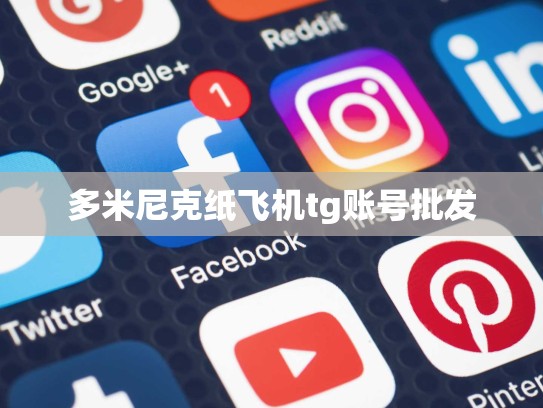多米尼克纸飞机tg账号批发