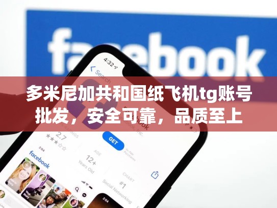 多米尼加共和国纸飞机tg账号批发,安全可靠,品质至上