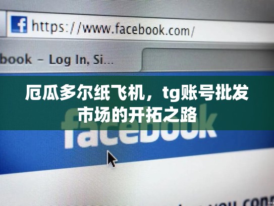 厄瓜多尔纸飞机,tg账号批发市场的开拓之路